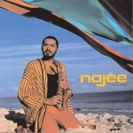 najee-najees_theme